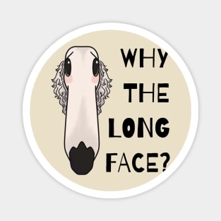 Why The Long Face Borzoi Dog Breed Magnet